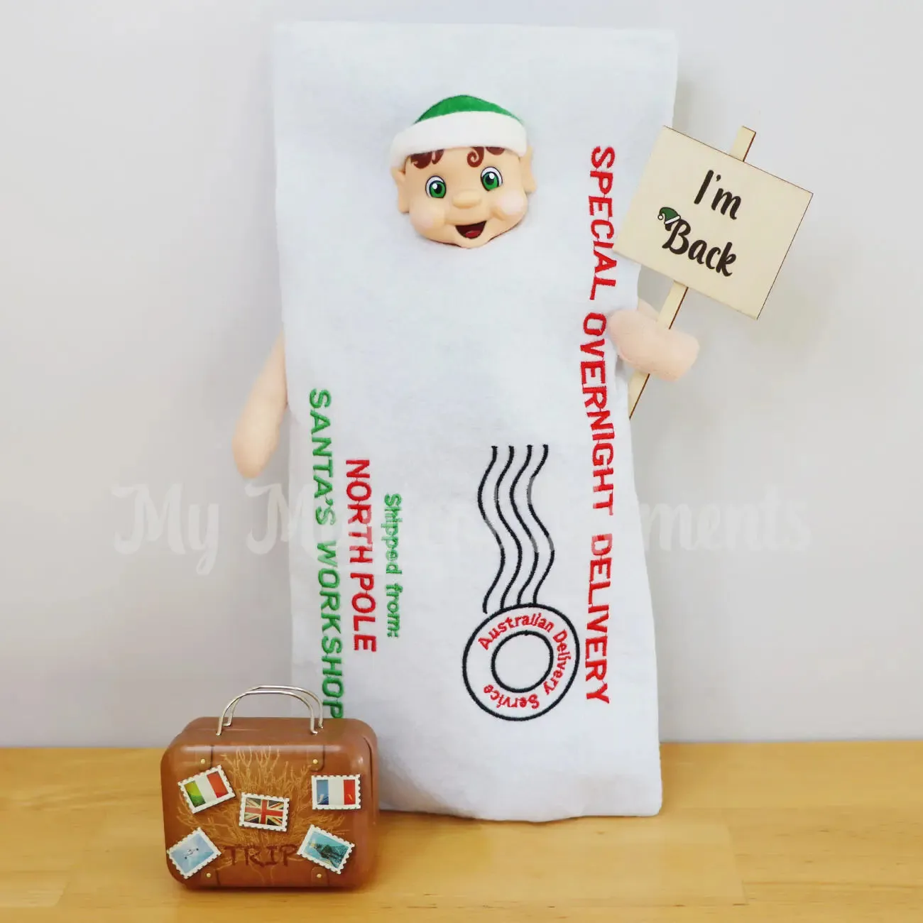 Costume - Elf Arrival Postal Bag Envelope