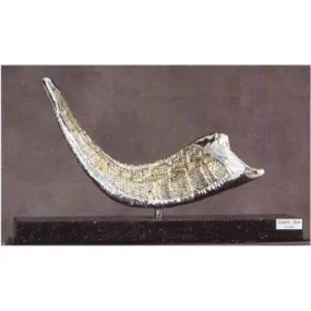 Jerusalem Views Shofar Showpiece