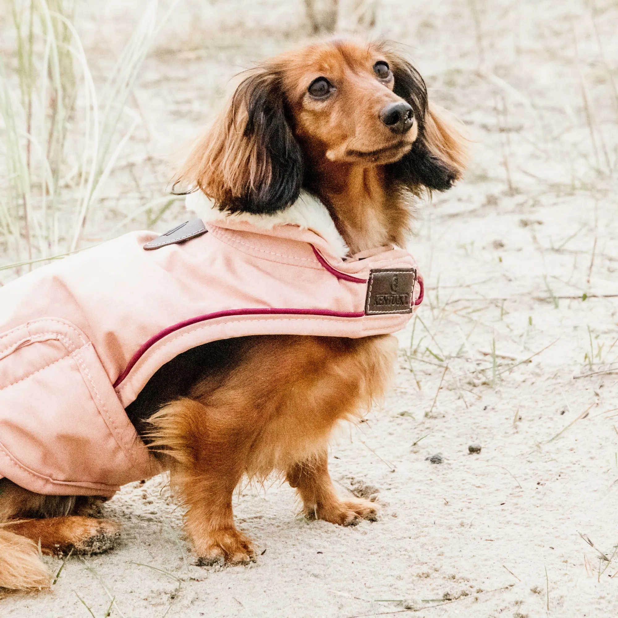 Kentucky Dogwear Waterproof Dog Coat - Coral