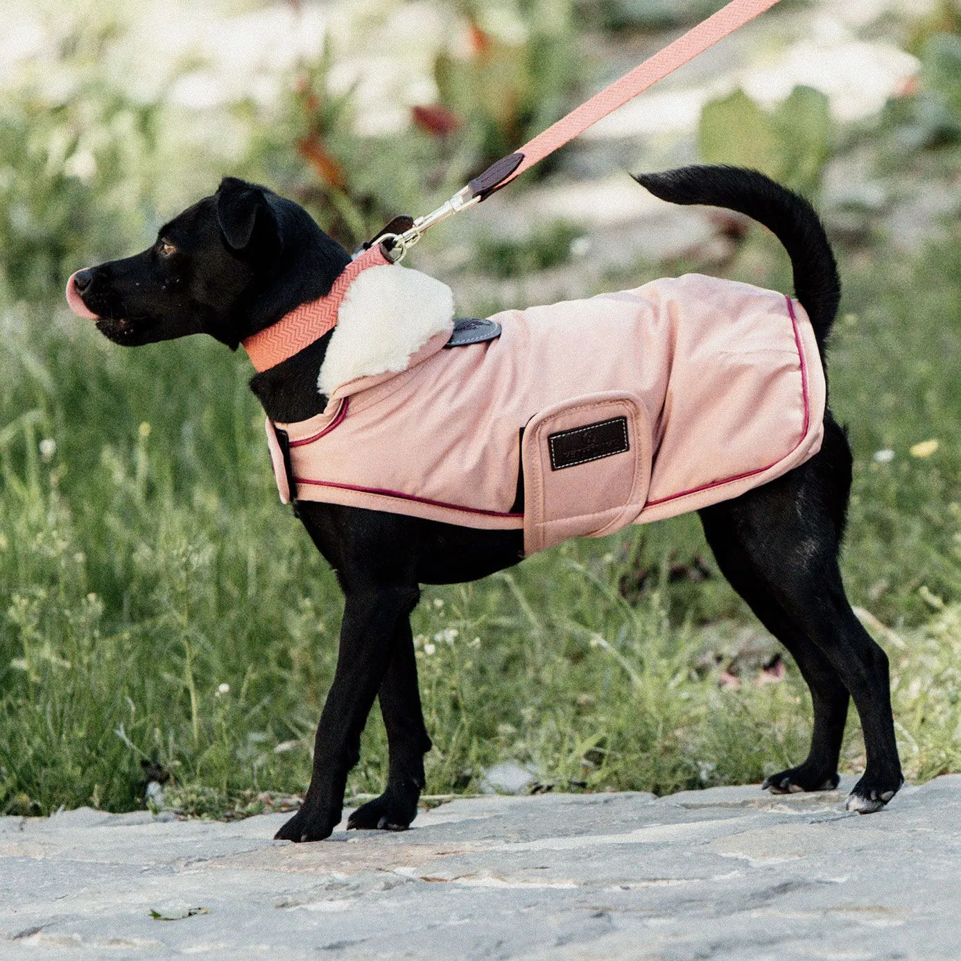 Kentucky Dogwear Waterproof Dog Coat - Coral