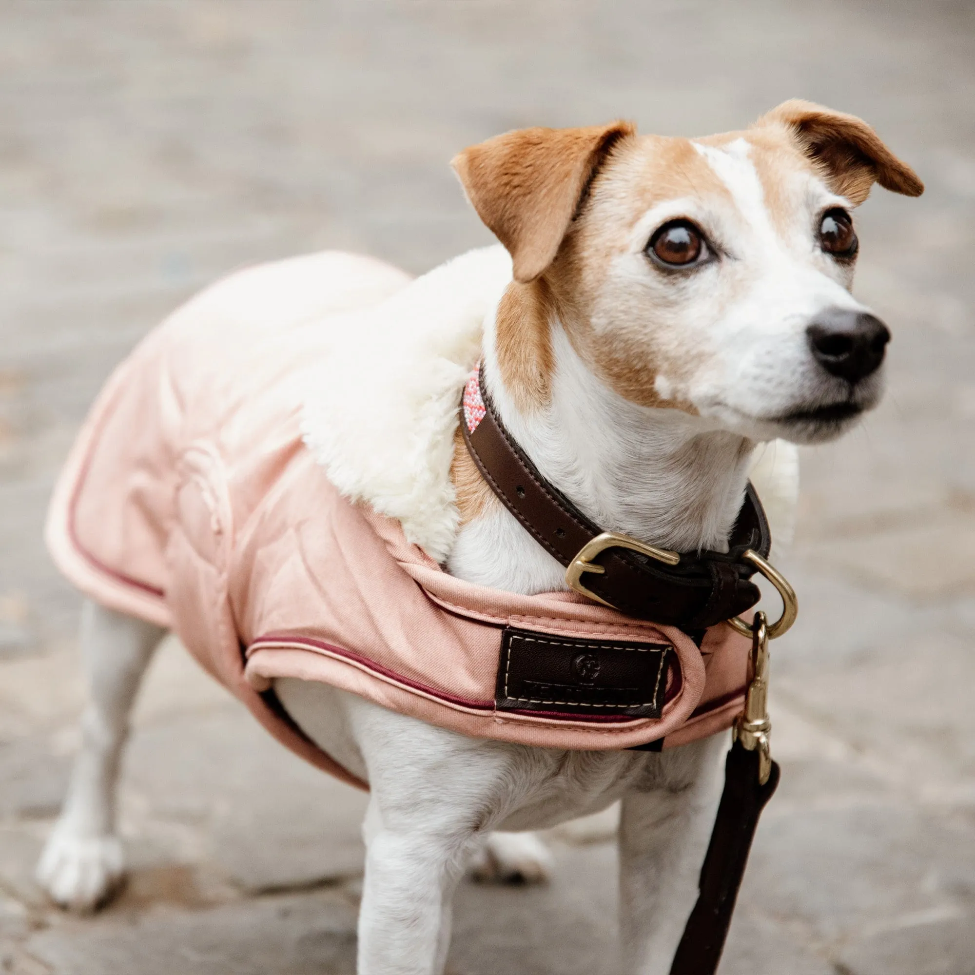 Kentucky Dogwear Waterproof Dog Coat - Coral