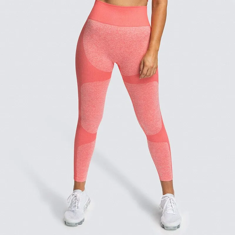 KittenAlarm - Mojoyce Cloud Hide Yoga Pants Seamless Fitness Sports Leggings High Waist Women Athletic Long Tights Girls Gym Workout Running Trousers