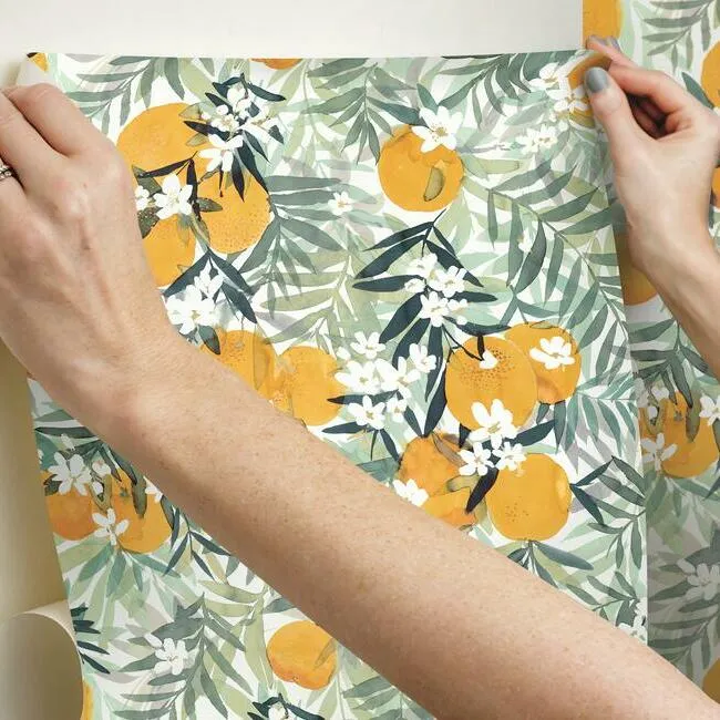 Orange Blossom Peel and Stick Wallpaper