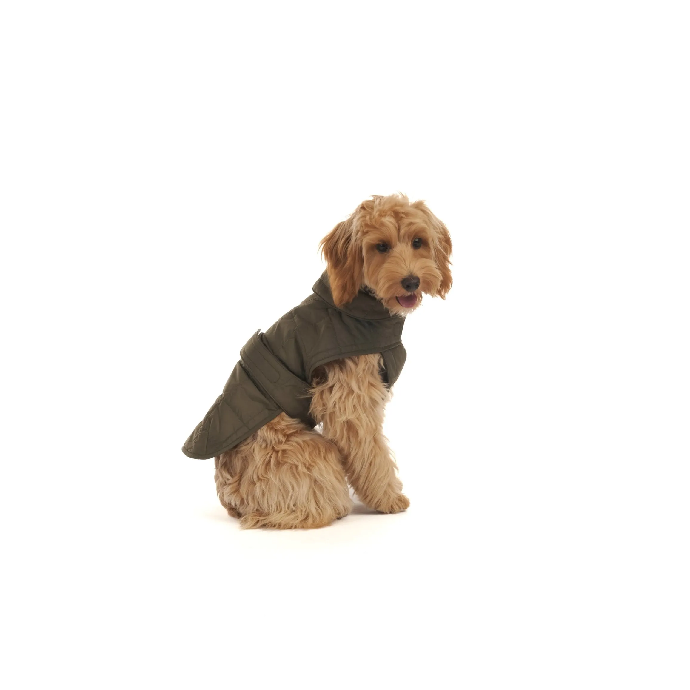 Quilted Dog Coat