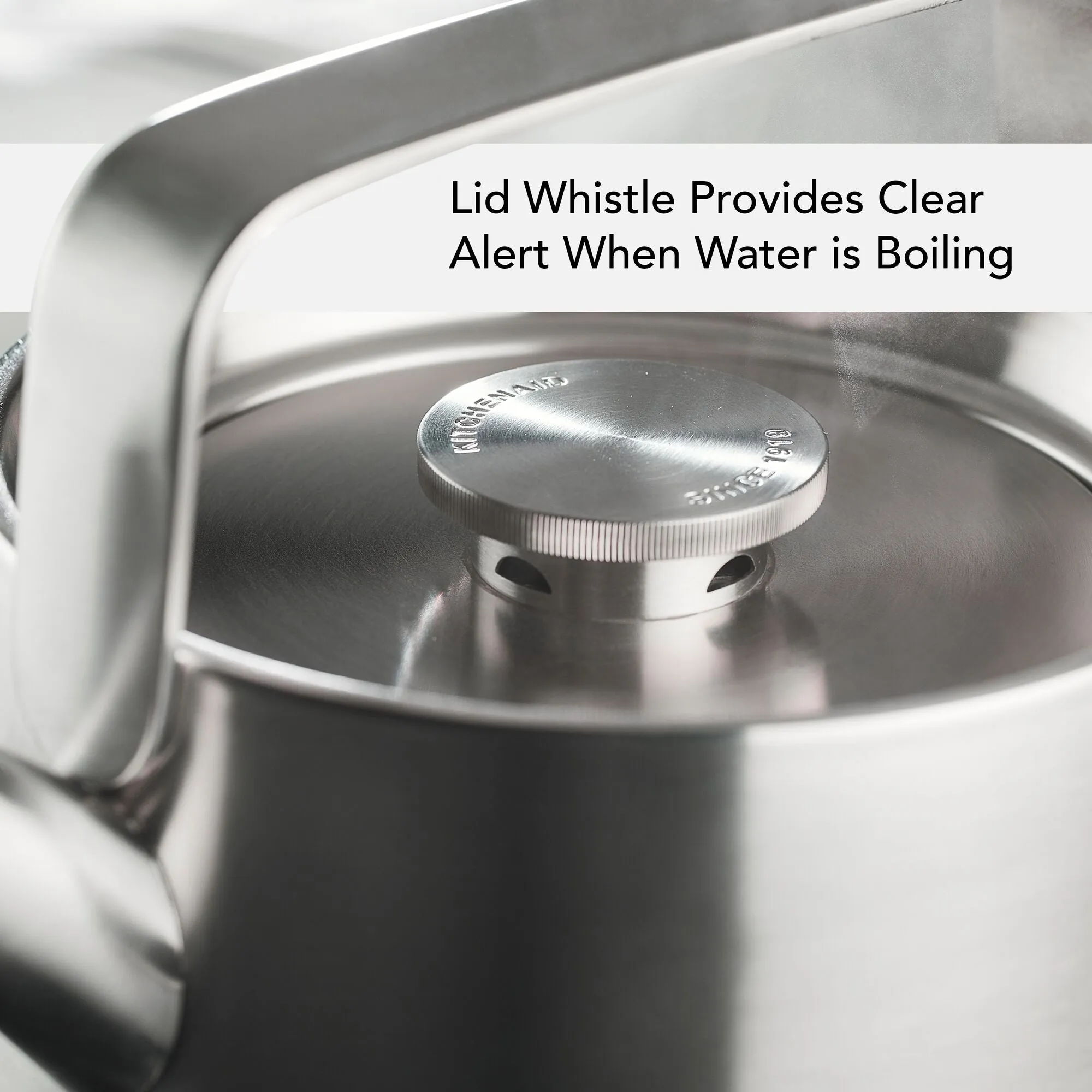 Stainless Steel Whistling Teakettle