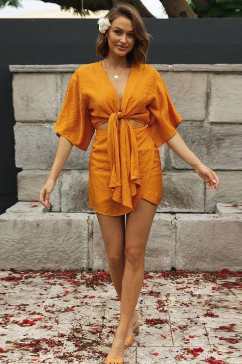 Stunning Chic Short Sleeve Mini Dress