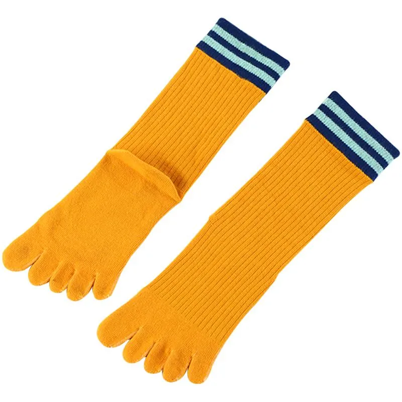 ZFSOCK Classic Design 5 Finger Crew  Socks for Women, 4 Pairs